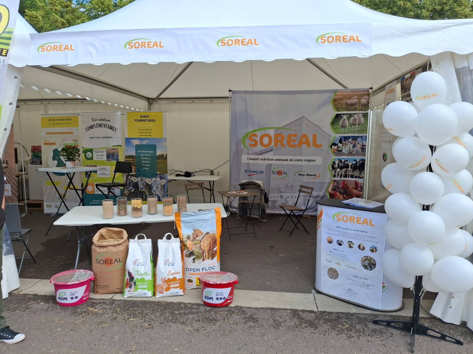 7 juin 2025 - Les Journées Châtillonnaises